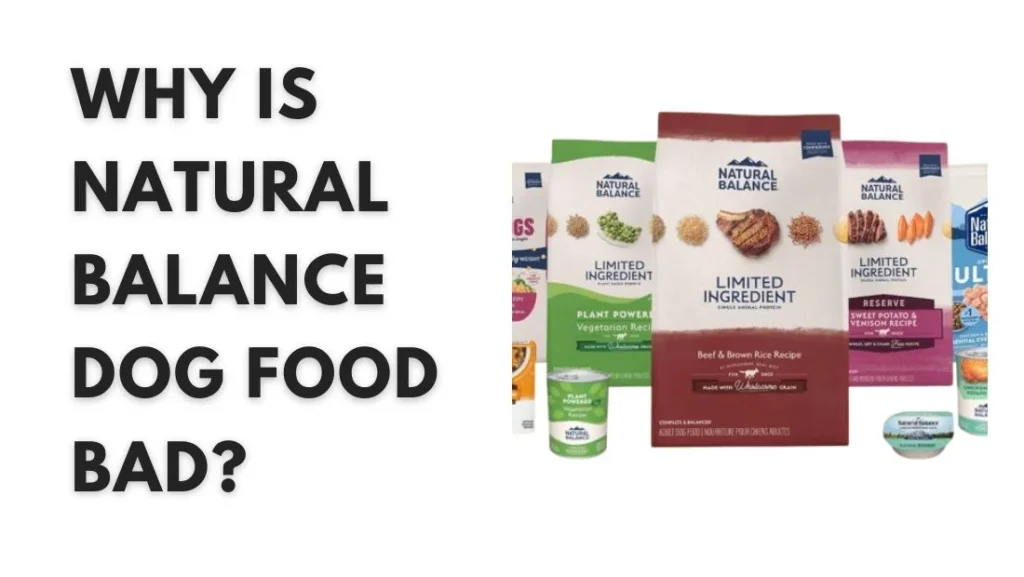 Why Is Natural Balance Dog Food Bad